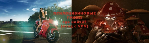спайс Краснослободск